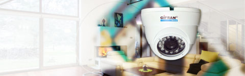 Telecamera di sorveglianza con sensore Sony Professionale